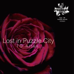 TG.Atlas_Puzzle City