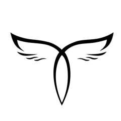 Tavi Castro Live - Tomorrowland 2017