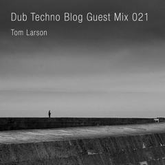 Dub Techno Blog Guest Mix 021 - Tom Larson
