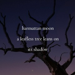 Harmattan shadows [Naviarhaiku185]