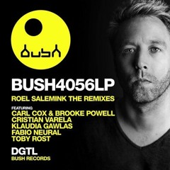 Roel Salemink - Take This ( Toby Rost Remix )