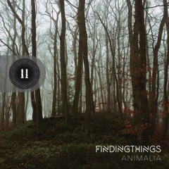 Findingtwinflames