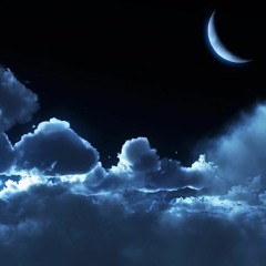 Shadow Player - Night Jammin