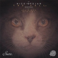 Nico Stojan - Imagination (Audiojack remix)