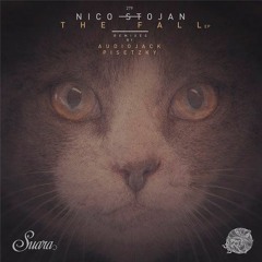 Nico Stojan - Imagination (Audiojack remix)