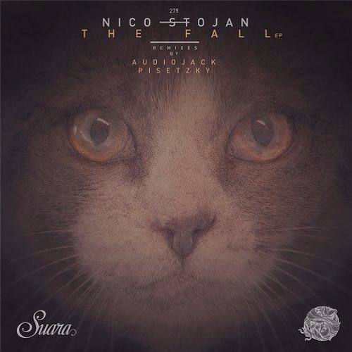 Stream Nico Stojan - Imagination (Audiojack remix) by Audiojack | Listen  online for free on SoundCloud