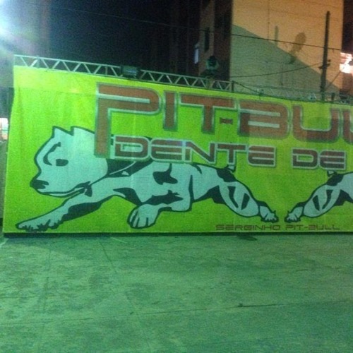 MTG - Sarrando Com oS Cria Dos Mídia