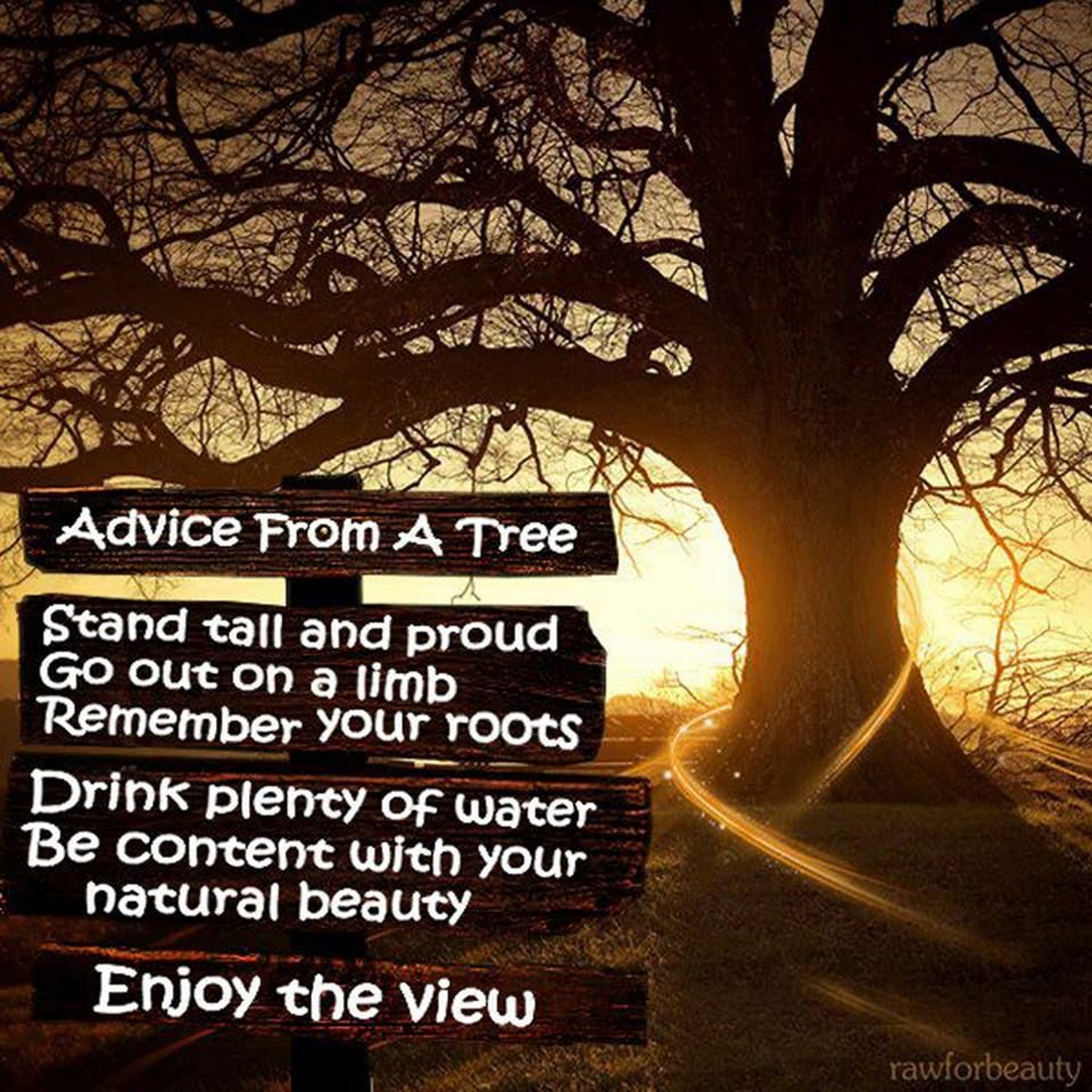 Lenny van den Haak and Rosanne Scott on the Activate Tree Planting festival episode artwork