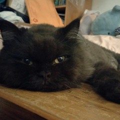 韓紅-一個人 Cover By 老K