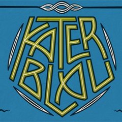 Stefan Mint @ Kater Blau Acidbogen 21.07.2017