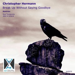 Christopher Hermann - Break Up Without Saying Goodbye(Axel Terblanche Remix)