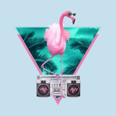 Flamingo Funk