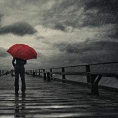 Stormy Harbor