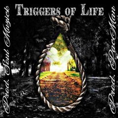 Triggers of Life (Prod. SouL Muzick & PACMAN)