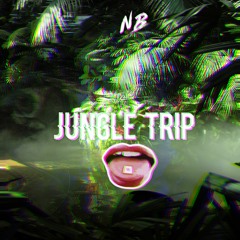 Nasty Boyz - Jungle Trip