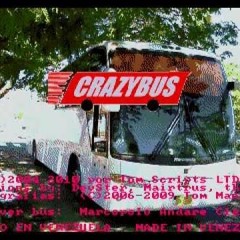 Crazy Busflies