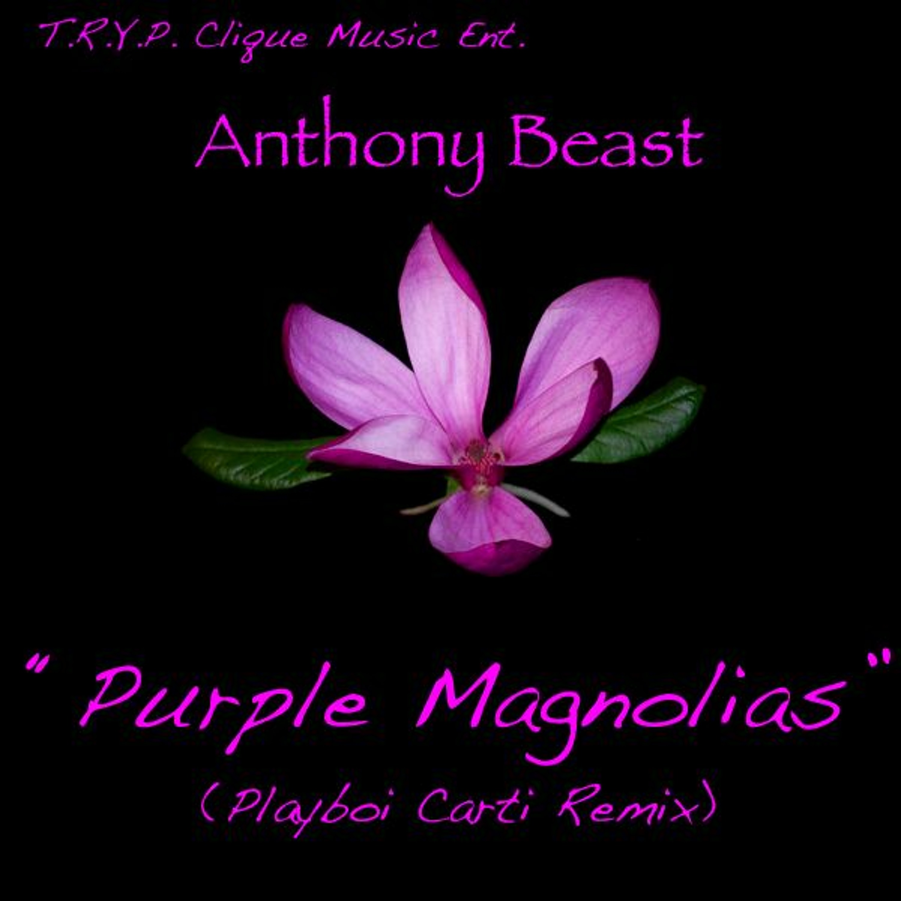 Purple Magnolias episode artwork