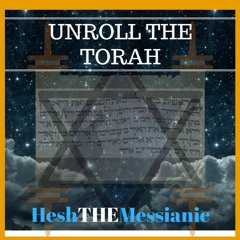 Unroll The Torah