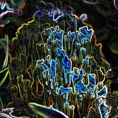 Alpha Particle Emission - Lunar Lemur