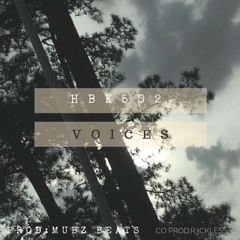 Voices [prod: r3ckless x mubzbeats]