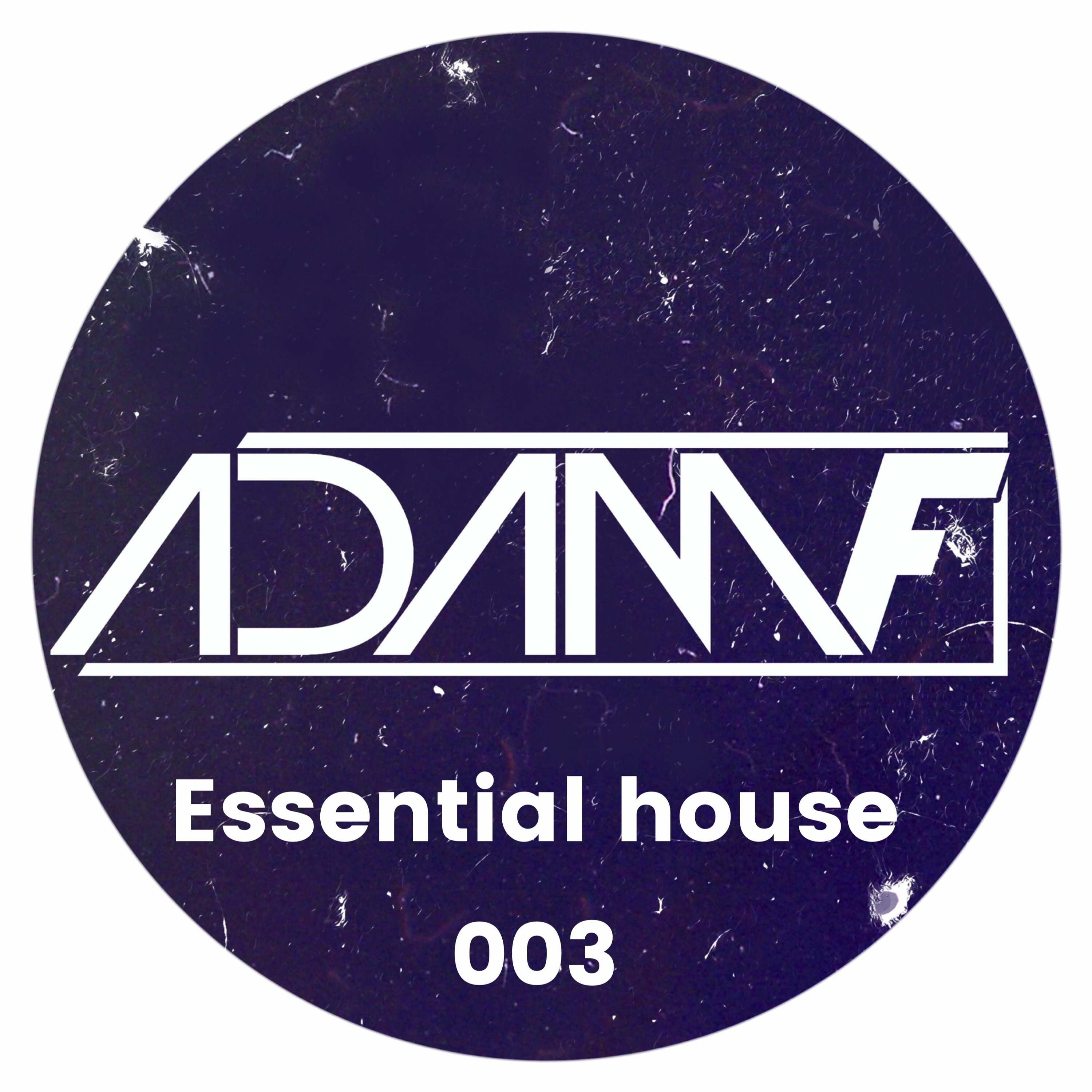 Essential House 003