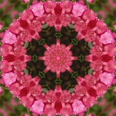 Heart Chakra (Remix)
