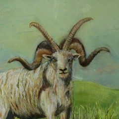 Bobby (originally by Alex G) - Taylor Robert Hawkins