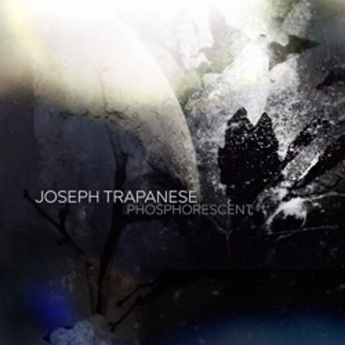 Radiate | Joseph Trapanese