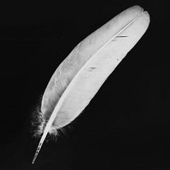 Nothing's Gonna Hurt You Baby - Cigarettes After Sex [Acoustic Cover]