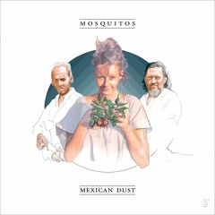 Mosquitos "Counting The Days" from the album Mexican Dust