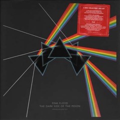 Pink Floyd - The Dark Side Of The Moon CD6 (2011)