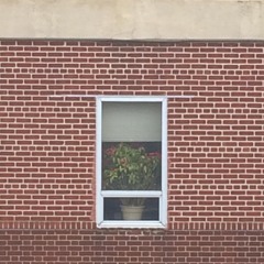 the power of flowers