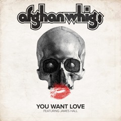 The Afghan Whigs - You Want Love