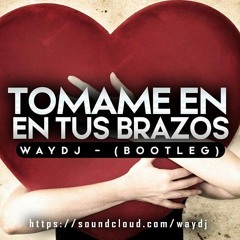 WAYDJ - TOMAME EM TUS BRAZOS (BOOTLEG) PREVIW