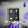 Nektar Agu, Secret Society Chile Podcast 004 DJ mix artwork - Electronic music tracklist cover image