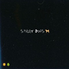 Stray Dogs - with Joshua Tree
