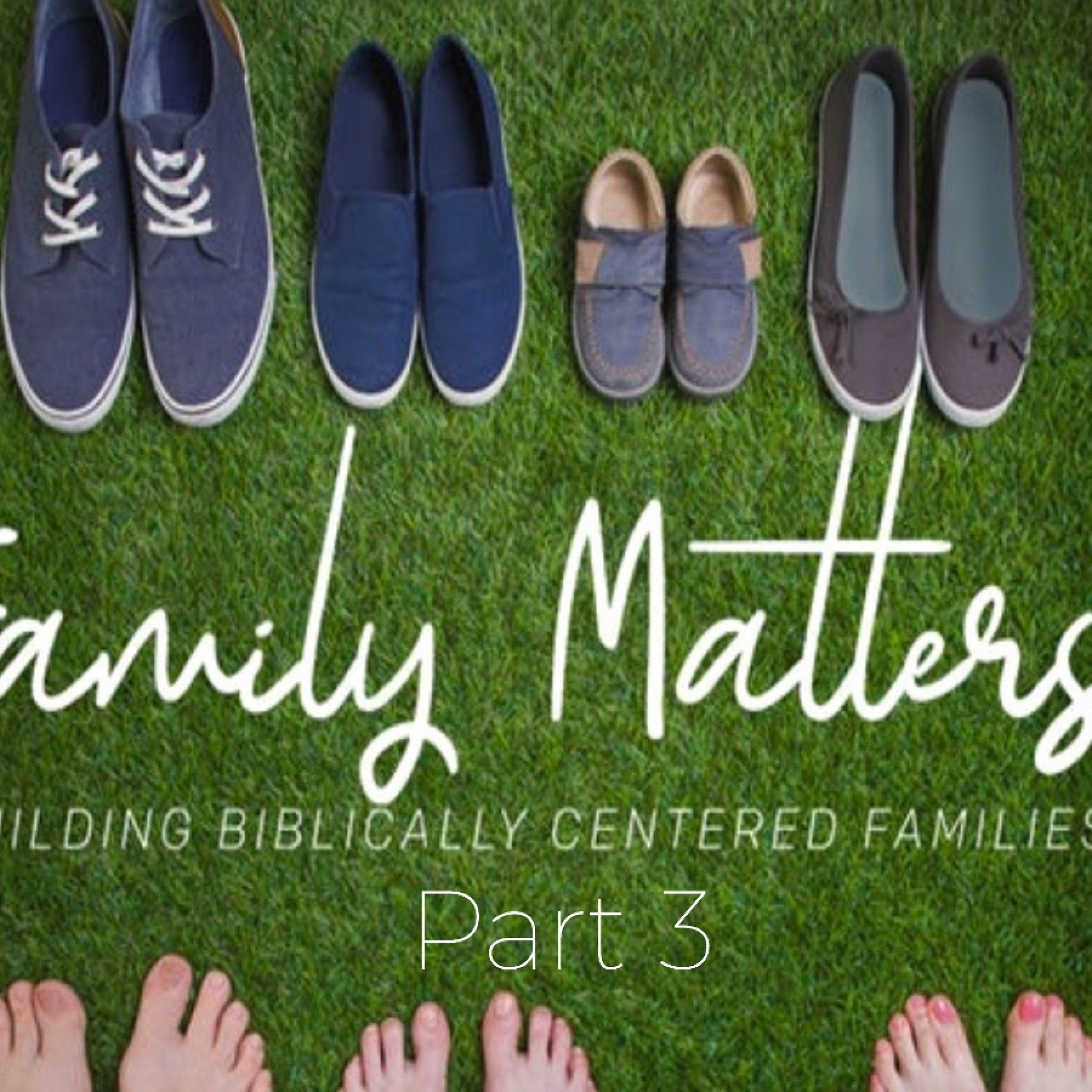 7 - 23 - 17  Family Matters Part 3 episode artwork