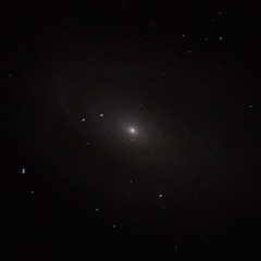 2017-05-18: Field Recording - Treefrogs and Helicopter