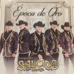 SALCIDO NORTE MIX 2017 EPOCA DE ORO - DJ LOVE SPY