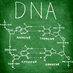 Deoxyribonucleic Acid