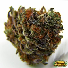 BLACK JEWEL (FREE DOWNLOAD)