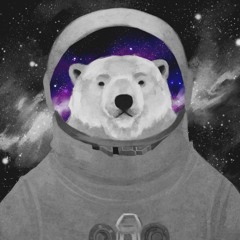 Spaceship Polar Bear