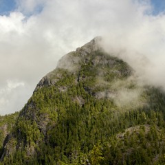 Memories In The Wind