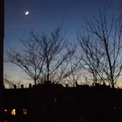 Meine Träume sind wie Diebe