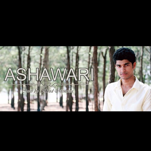 Stream Ashawari Cover by Nivod Menusha by Nivod Menusha | Listen online for  free on SoundCloud
