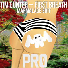 Marshmello - Pro / Tim Gunter - First Breath (Marmalade Edit) Full Version