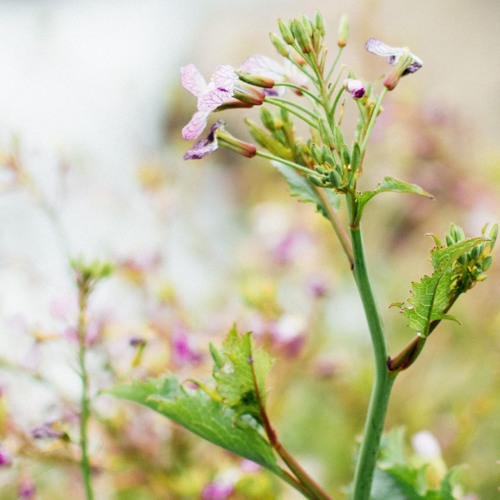 find some time to do something