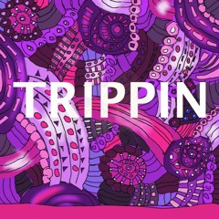 Trippin ft. Millie Wong (Prod. Dezaihr)