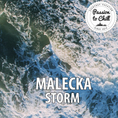 Malecka - Storm (Original Mix) free download
