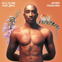I Met You So I Could Hit Em' Up (Bonus Track)